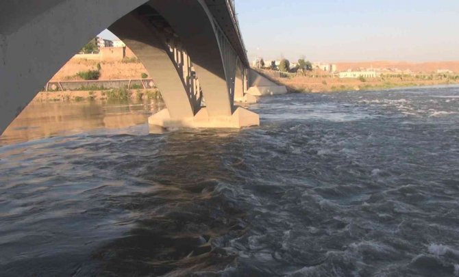 Dicle Nehri’nde ’Su Samuru’ Görüntülendi