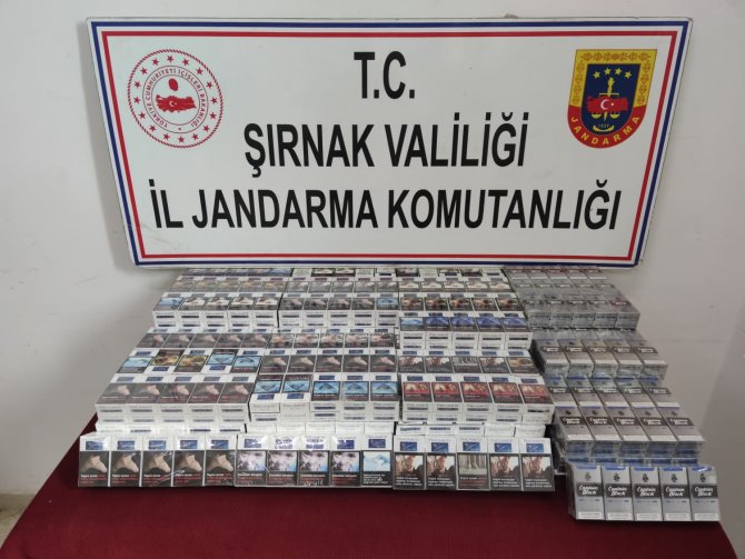 Şırnak’ta Kaçakçılık Ve Asayiş Operasyonu: 36 Gözaltı