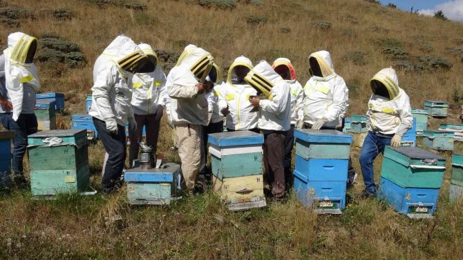 Vali Hatipoğlu, Arıcı Maskesini Giydi Bal Hasadı Yaptı