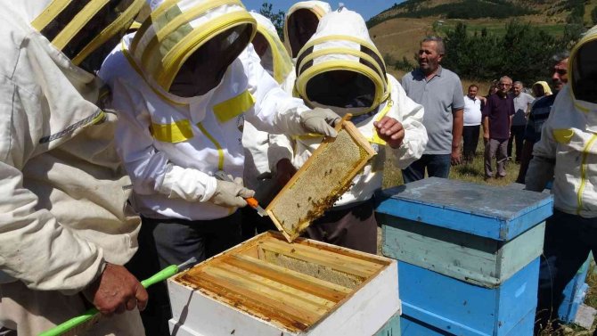 Vali Hatipoğlu, Arıcı Maskesini Giydi Bal Hasadı Yaptı