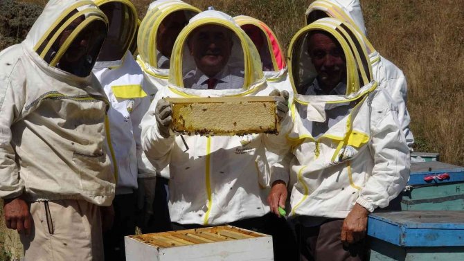 Vali Hatipoğlu, Arıcı Maskesini Giydi Bal Hasadı Yaptı