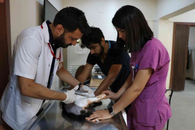 Yeni Kırık Tedavi Yöntemi İlk Kez Siirt’te Uygulandı