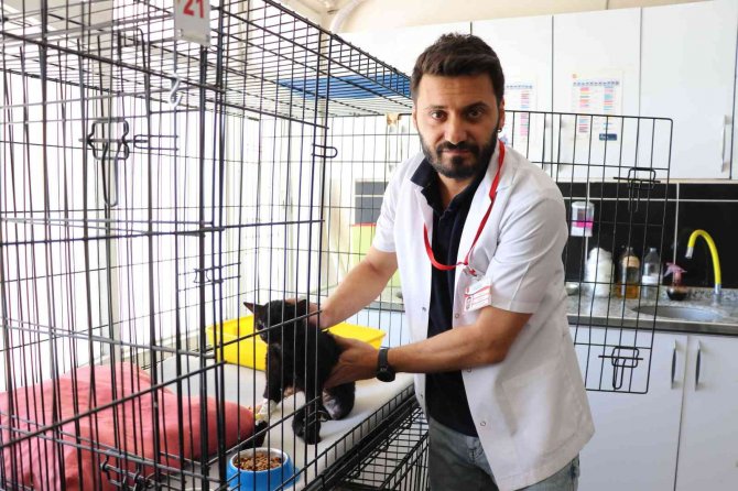 Yeni Kırık Tedavi Yöntemi İlk Kez Siirt’te Uygulandı