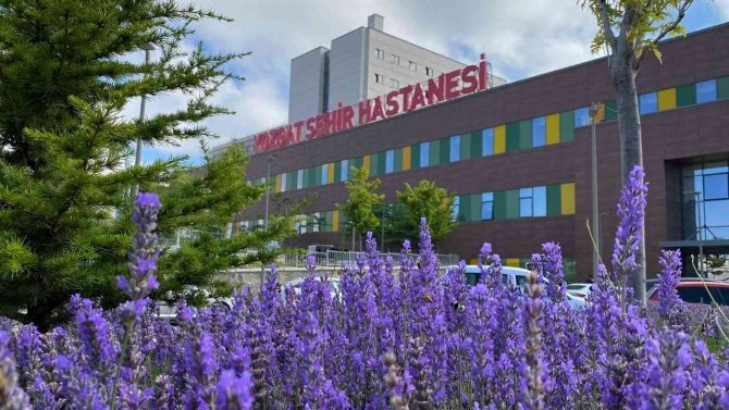 Lavanta Kokulu Hastane