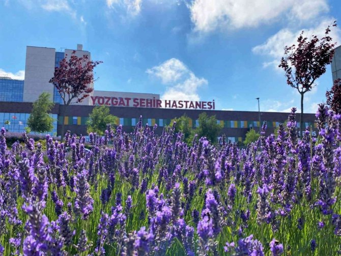 Lavanta Kokulu Hastane