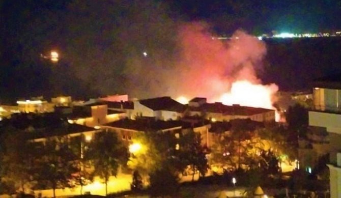 Tekirdağ’da Okul Bahçesindeki Ağaçlar Alev Alev Yandı