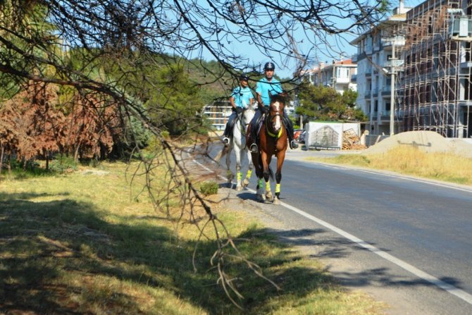 Ayvalık’ta Orman Yangınlarına Karşı Atlı Jandarma Önlemi