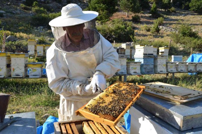 Antalya’da Balda Son 23 Yılın En Yüksek Rekolte Beklentisi