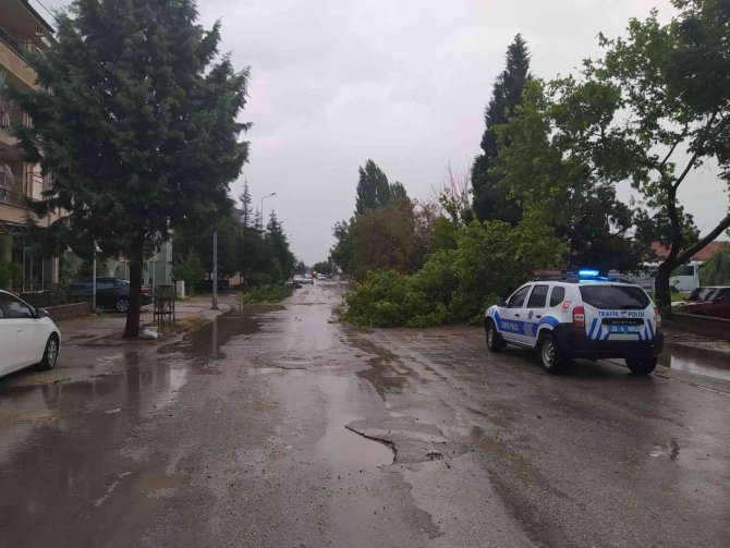 Yağmur Ve Fırtına Ağaçları Devirdi