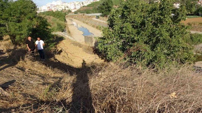 Pendik’te Kaybolan Adamın Cesedi 5 Yıl Sonra Toprağa Gömülü Halde Bulundu