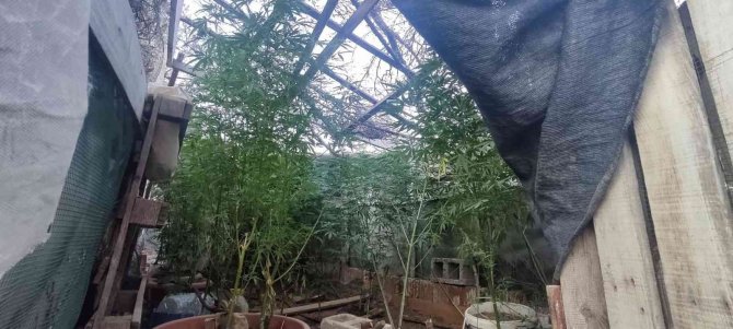 İ̇zmir’in 9 İlçesinde Uyuşturucu Operasyonları: 26 Gözaltı