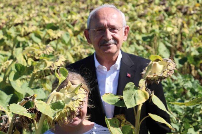 Kılıçdaroğlu: Ayçiçeği Taban Fiyatı Ton Başına 16 Bin Lira Olmalı