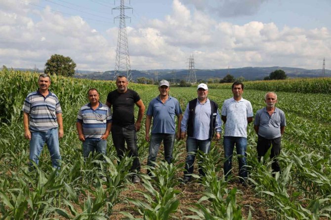2 Bin Çiftçiye 120 Ton Dane Mısır Desteği