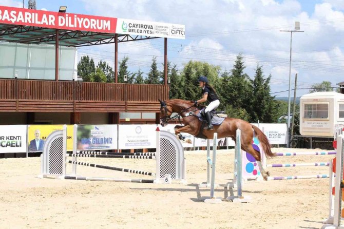 Genç Atlar Şampiyonası Kocaeli’de Gerçekleştirildi