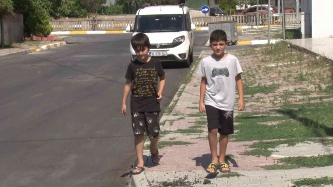 Sultanbeyli’de Başıboş Sokak Köpeklerinin Küçük Çocuklara Saldırısı Kamerada