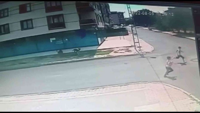 Sultanbeyli’de Başıboş Sokak Köpeklerinin Küçük Çocuklara Saldırısı Kamerada