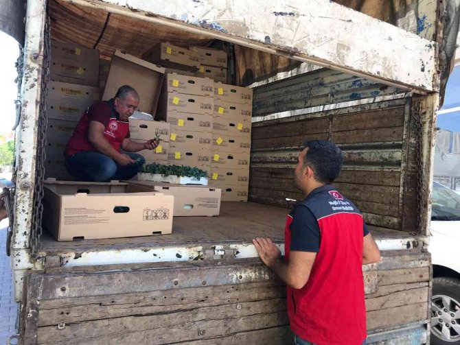 Muğlalı Çiftçiler Kışa Hazırlanıyor