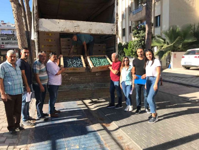 Muğlalı Çiftçiler Kışa Hazırlanıyor