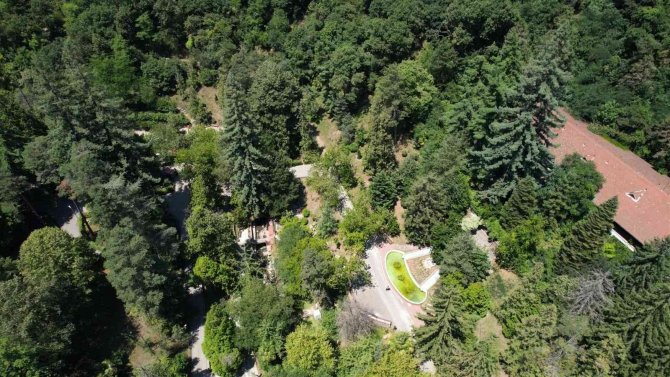 Türkiye’nin İlk Ağaç Müzesi Ziyaretçilerini Mest Ediyor