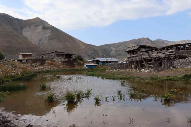 Salaçur Yaylası’nın Turizme Kazandırılmasını İstiyorlar