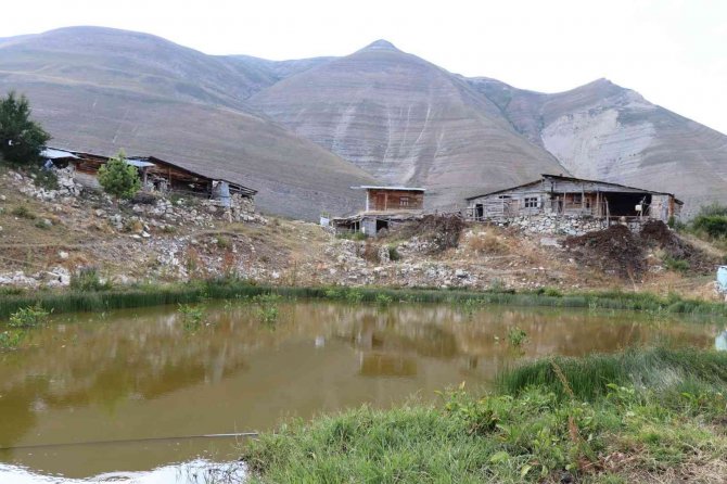 Salaçur Yaylası’nın Turizme Kazandırılmasını İstiyorlar