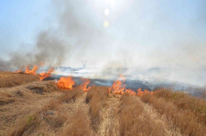 Siirt’te Çiftçilere Ve Piknikçilere Anız Uyarısı