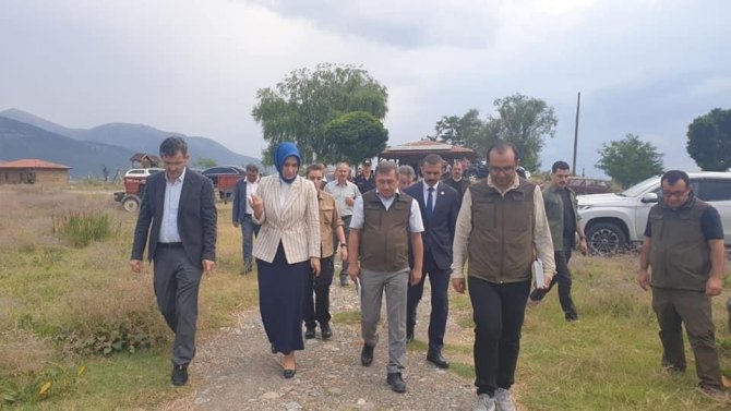 Vali Yiğitbaşı, Eber Gölü’nde Yürütülen Çalışmaları İnceldi