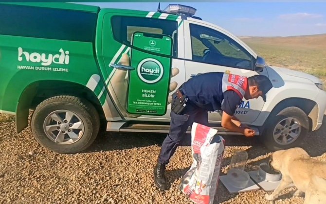 Jandarmadan Hayvanlara Şamandıra Sistemli Su Ve Yem Kapları