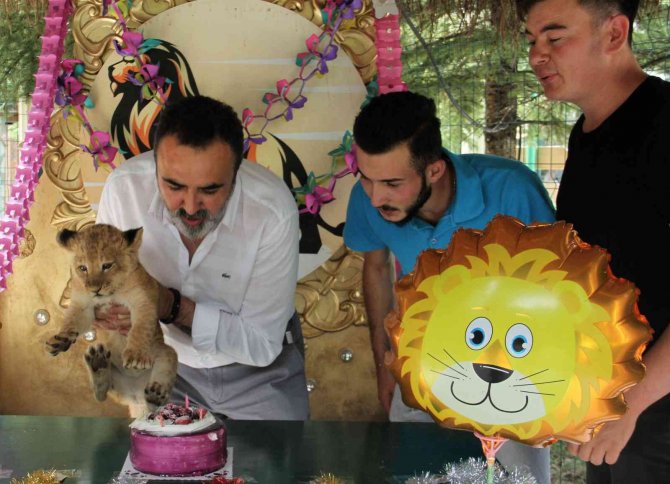Ankara’nın Aslanlarına 10 Ağustos Aslanlar Günü’nde Pastalı Kutlama