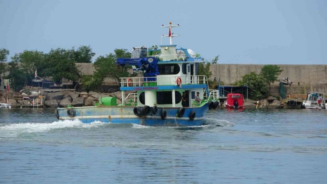 Balıkçıların Umudu Palamut: “Palamut Şimdiden Yarım Kilograma Ulaştı”