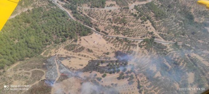 Ayvalık’ta Ormanlık Bölge Sınırında Çıkan Arazi Yangını Kontrol Altına Alındı
