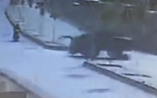 Traktör Motosikletlinin Üzerinden Geçti; O Anlar Kameraya Yansıdı