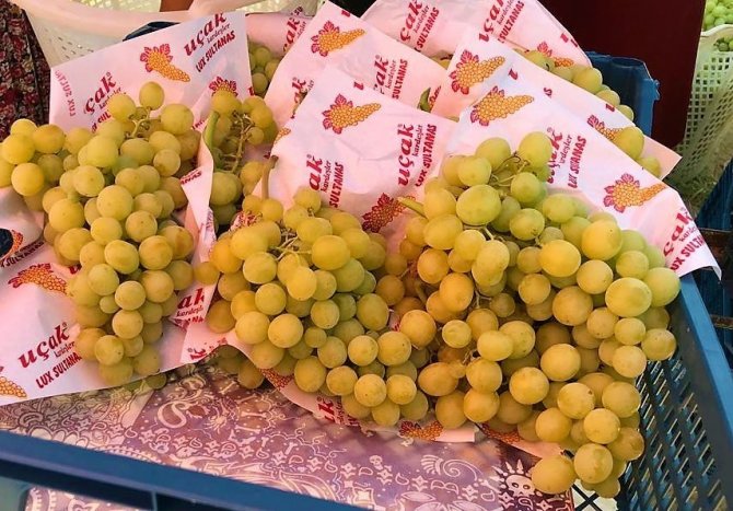 Çiftçiler Üzüm Taban Fiyatının Açıklanmasını Dört Gözle Bekliyor