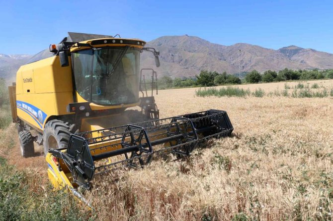 Hububat Hasadının Başlamasıyla Biçerdöverler Yönelik Denetimler Arttırıldı