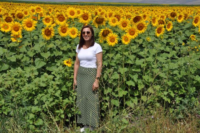 Kars’ta Tarlalar Sarıya Boyandı