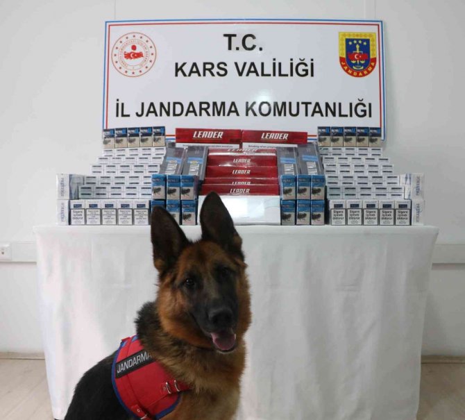 Kars’ta Kaçak Sigara Ele Geçirildi