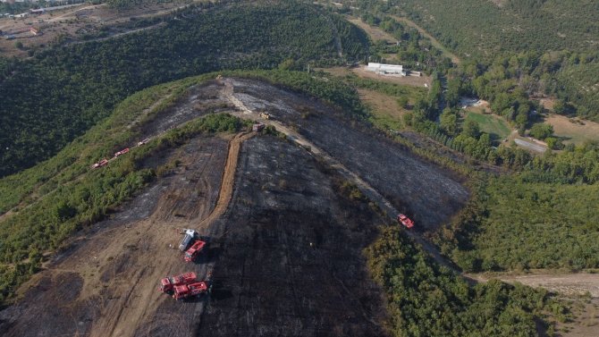 Kocaeli’de Ormanlık Alanda Yangın Çıktı, 4 Hektar Alan Küle Döndü