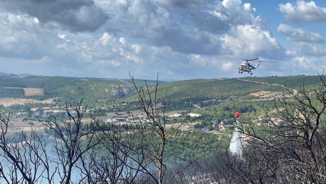 Kocaeli’de Ormanlık Alanda Çıkan Yangın Söndürüldü