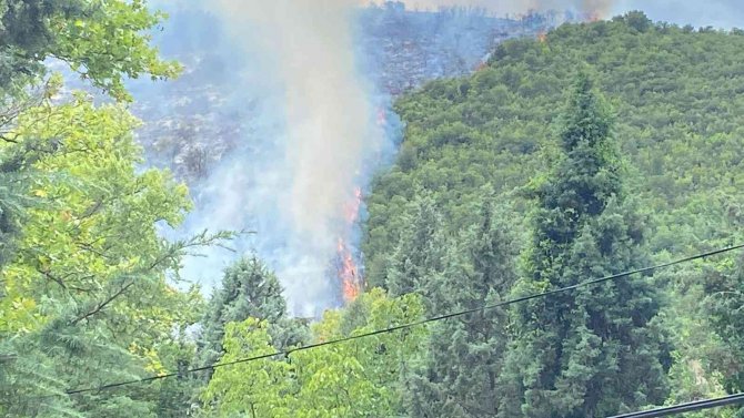 Kocaeli’de Ormanlık Alanda Çıkan Yangına Müdahale Sürüyor