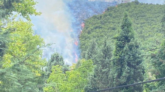 Kocaeli’de Orman Yangınına Helikopterle Müdahale Sürüyor