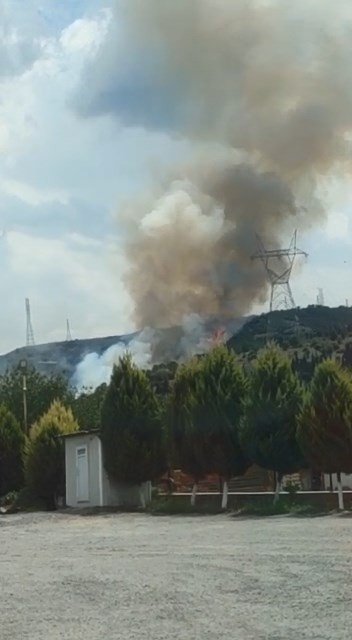 Kocaeli’de Ormanlık Alanda Yangın Çıktı