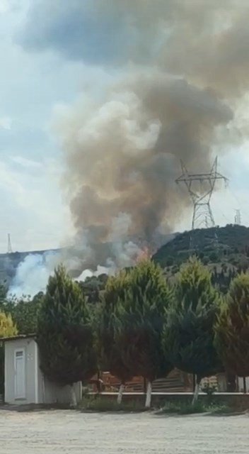Kocaeli’de Ormanlık Alanda Yangın Çıktı
