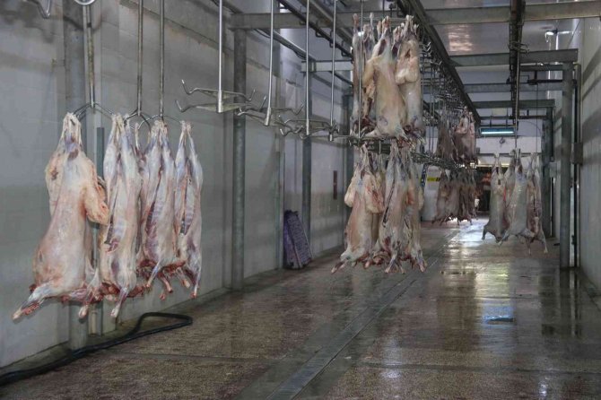 Diyarbakır’dan Kuveyt’e Küçükbaş Hayvan Eti İhracatı