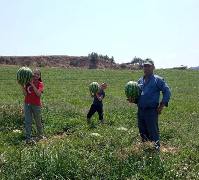Sarıgöl’de Kavun Karpuz Bereketi