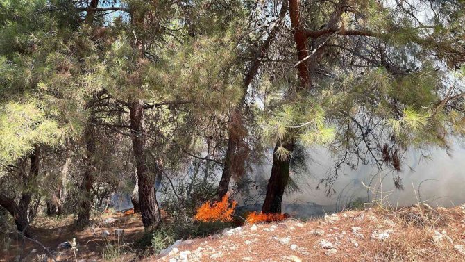 Manisa’da 2 Ayrı Noktada Ormanlık Alanda Yangın Başladı