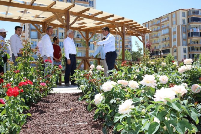 Milletvekili Çakır Ve Güder, Gül Bahçesini İnceledi