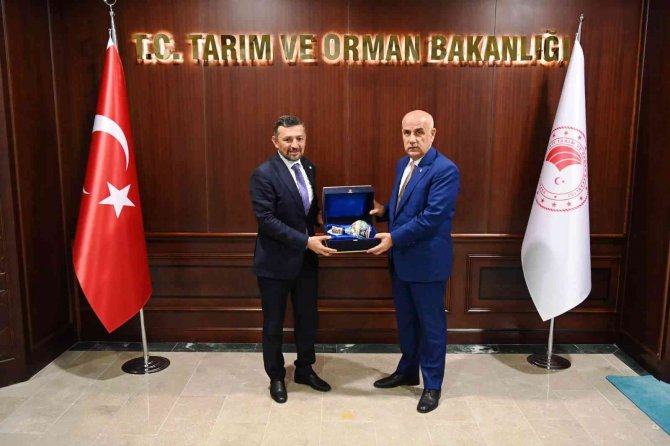 "Küçük Arazilerden Verim Alamıyoruz, Toplulaştırma İstiyoruz”