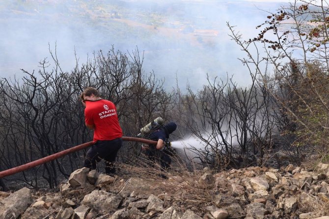 Kocaeli’de Ormanlık Alanda Çıkan Yangın Söndürüldü