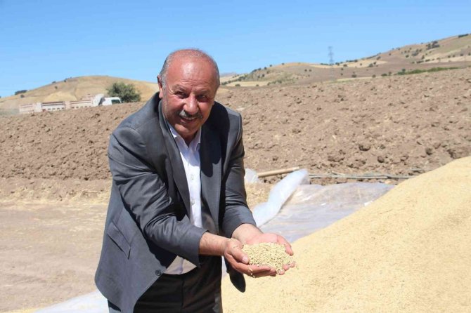 Ambarlara Sığmadı, Toprağa Gömdüler