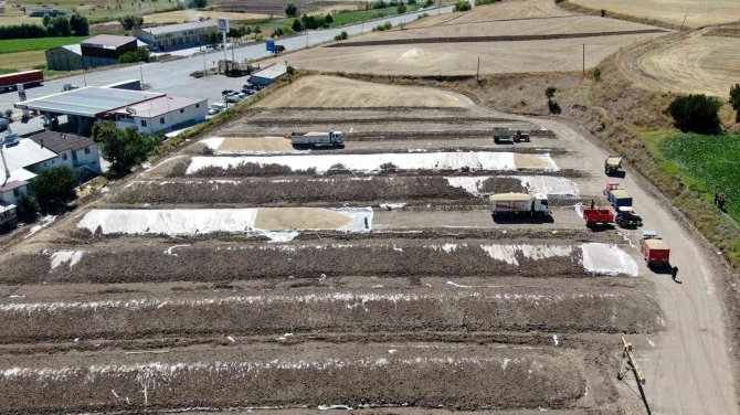 Ambarlara Sığmadı, Toprağa Gömdüler